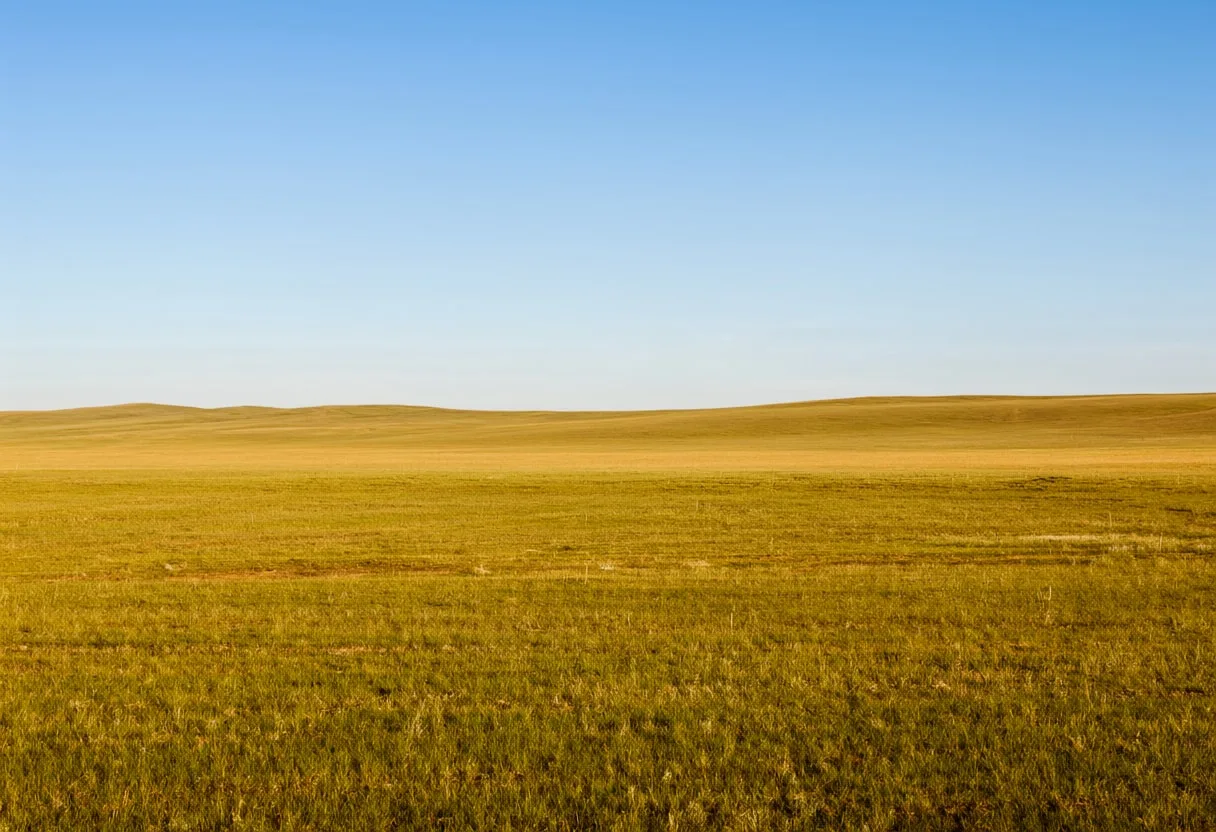 High Plateau Grassland in warm summer light