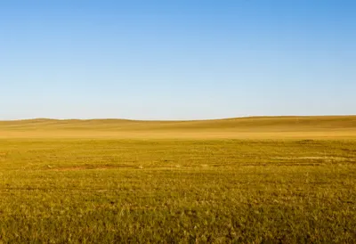 High Plateau Grassland in warm summer light