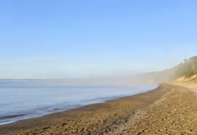 Sea Fog At Dawn