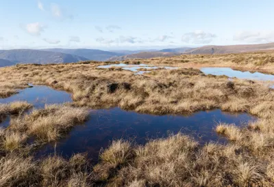Highland Bog Pools after rain