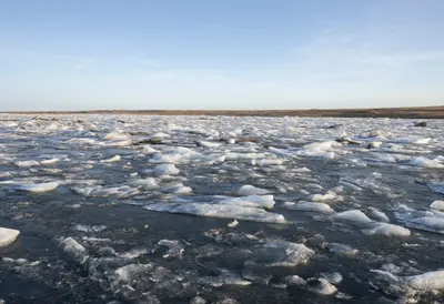 Glacial River Braid at dawn