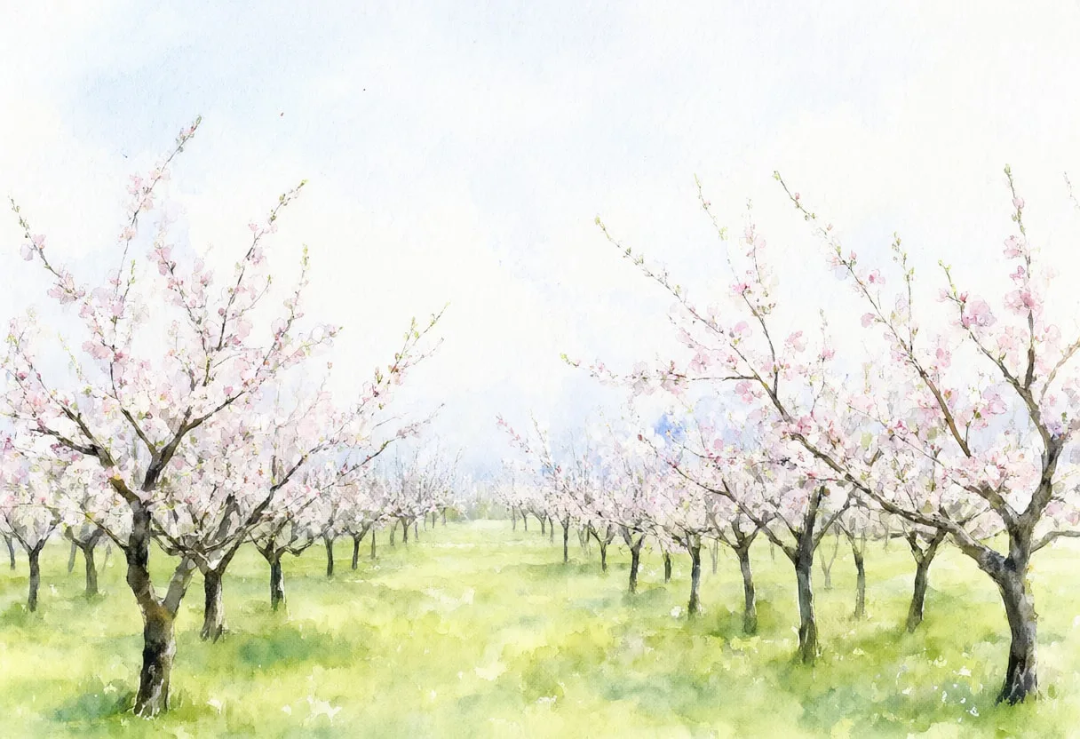 Orchard In Blossom after rain Watercolour
