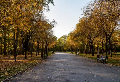 City Park in Autumn