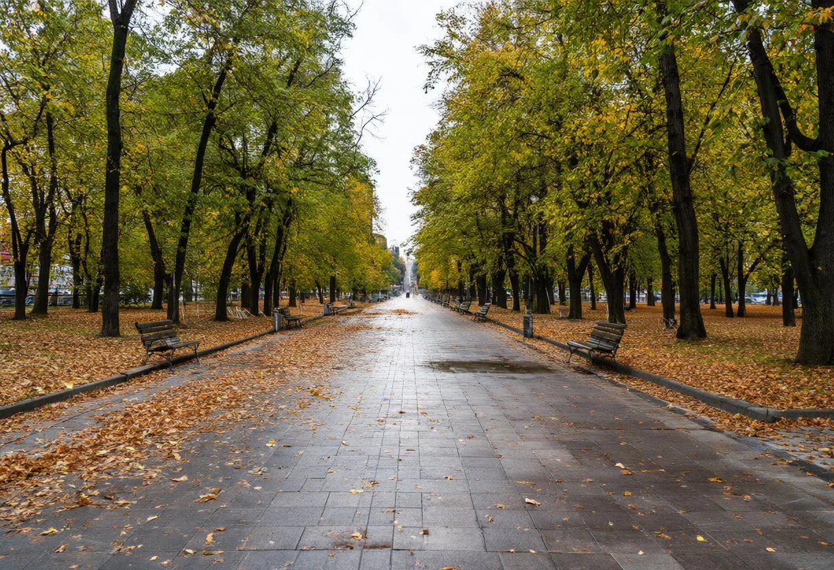 City Park in Autumn after rain
