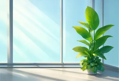 โรงงานสำนักงานและหน้าต่างในเวลากลางวันอันนุ่มนวล