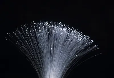 Fibre Optic Strands Glowing at dusk