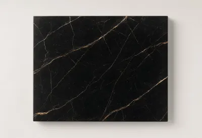 Black Marble with Gold Veins
