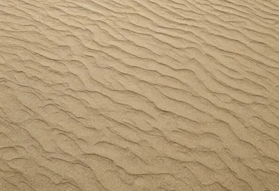 Topographic Lines in a deep palette