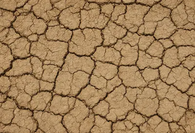 Cracked Earth Pattern in a deep palette