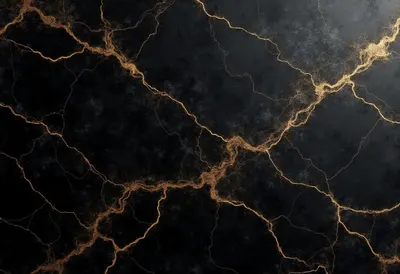 Black Marble with Gold Veins in a deep palette