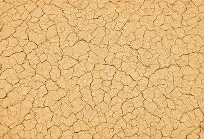 Cracked Earth Pattern in warm tones