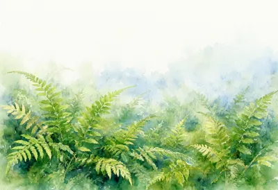 Fern Glade Close-Up at dawn Watercolour