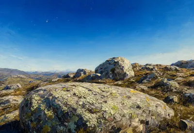 Lichen On Granite under a starry sky Oil Painting