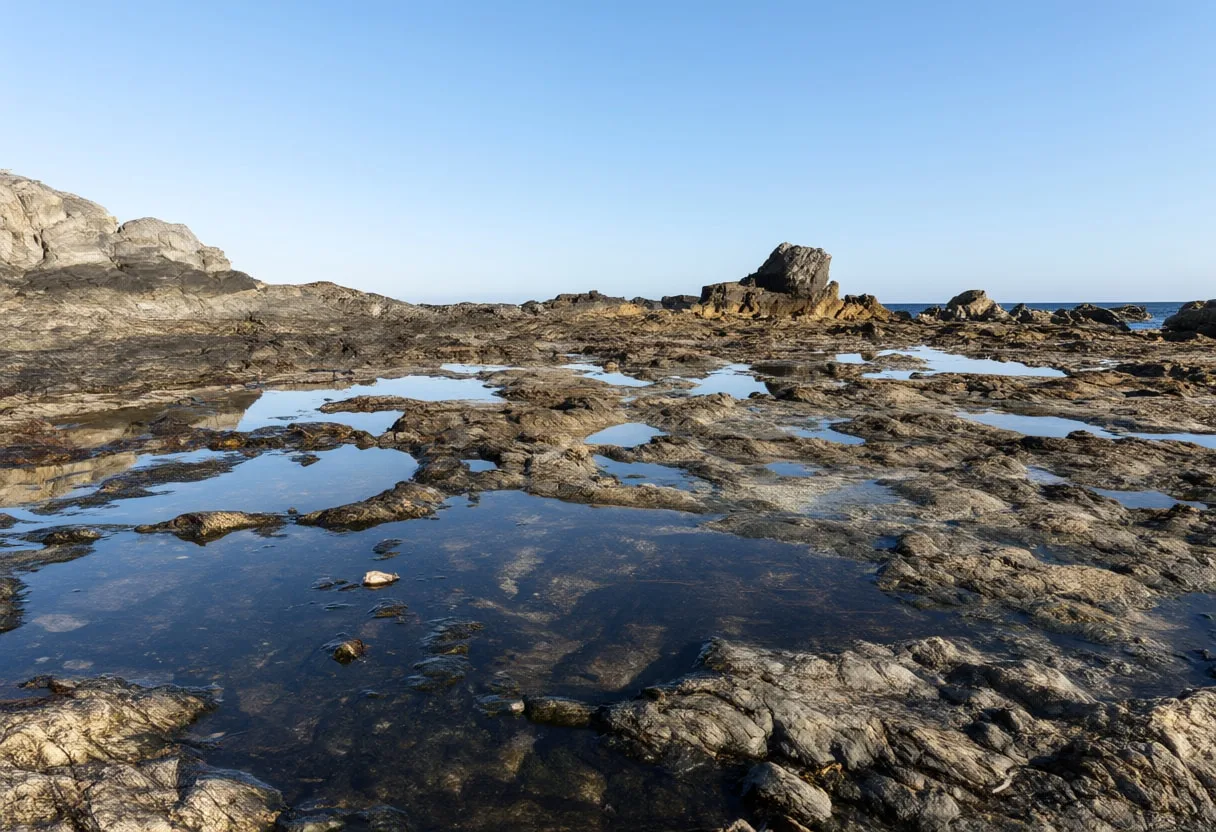 Rock Pool Reflections at dawn