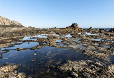 Rock Pool Reflections at dawn
