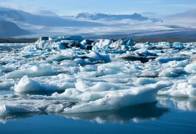 Glacier Lagoon with Floating Ice