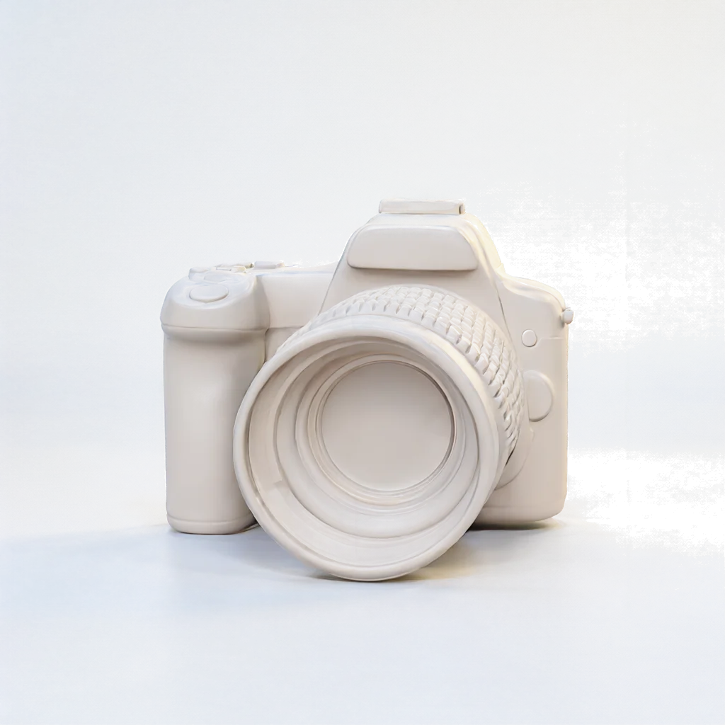 Camera body