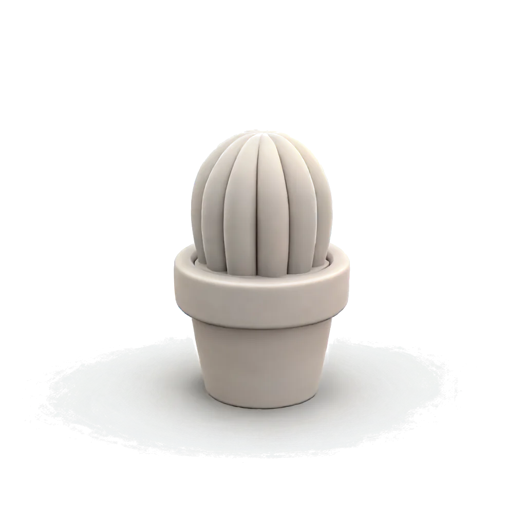 Cactus pot