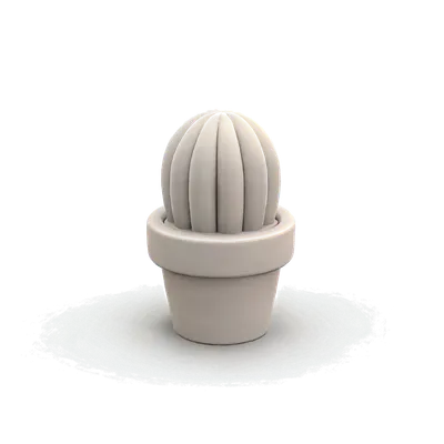 Cactus pot