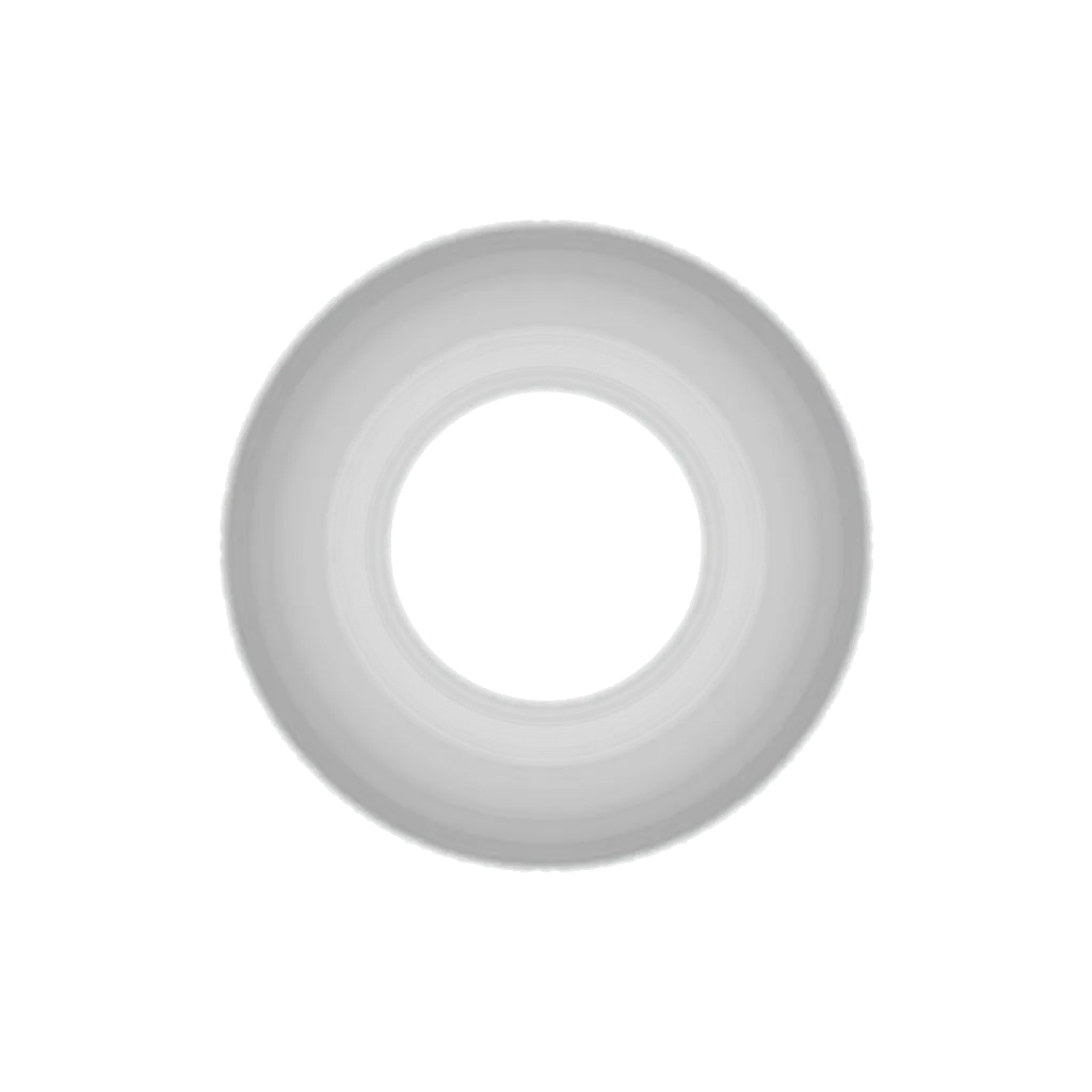 Ring segment