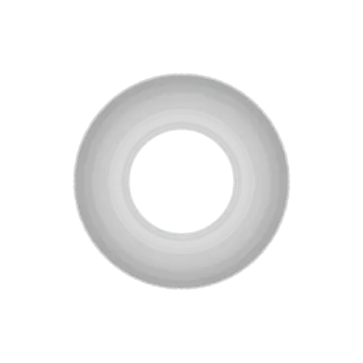 Ring segment
