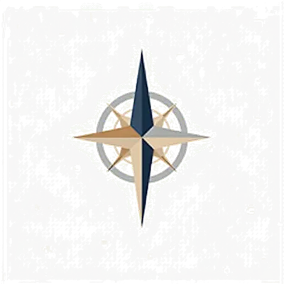 Compass needle
