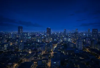Night skyline from a high vantage point, wide angle