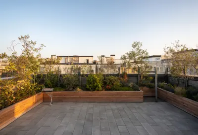 Rooftop garden at golden hour, wide angle