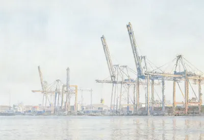 Harbour cranes in soft mist, low angle