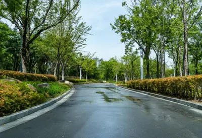City park after rain, low angle