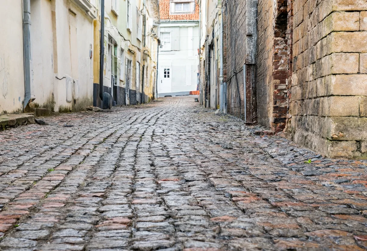 Cobbled lane after rain, low angle