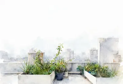 Rooftop garden in soft mist, low angle