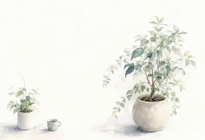Office plant in muted tones, wide angle