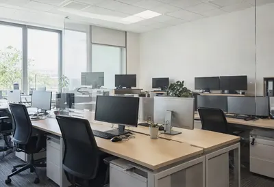 Open plan office in soft daylight, low angle