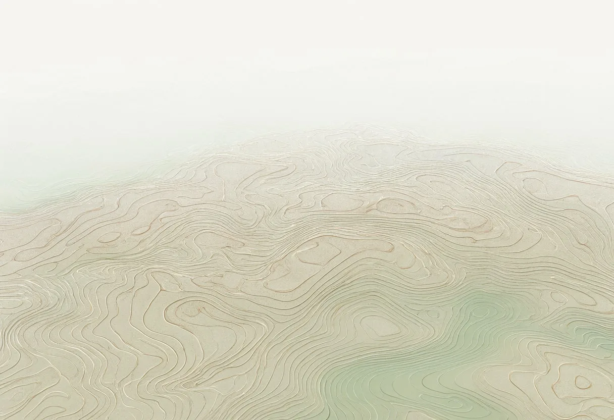 Topographic lines with subtle grain, wide angle