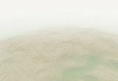 Topographic lines with subtle grain, wide angle